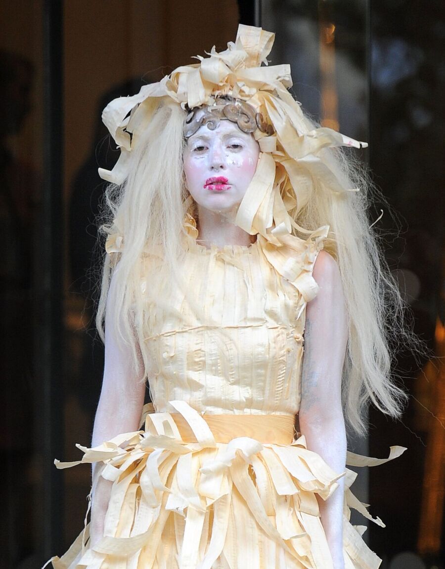 Lady Gaga i Assaad Awads "yes, i wood" kjole.
