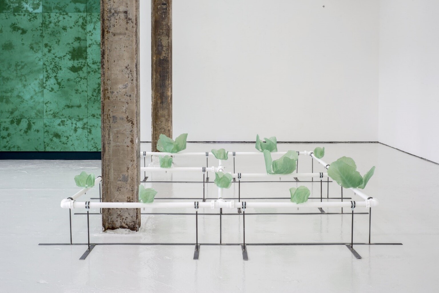 Rachel Adams Noon, installation view, David Dale Gallery, Glasgow, 2018.