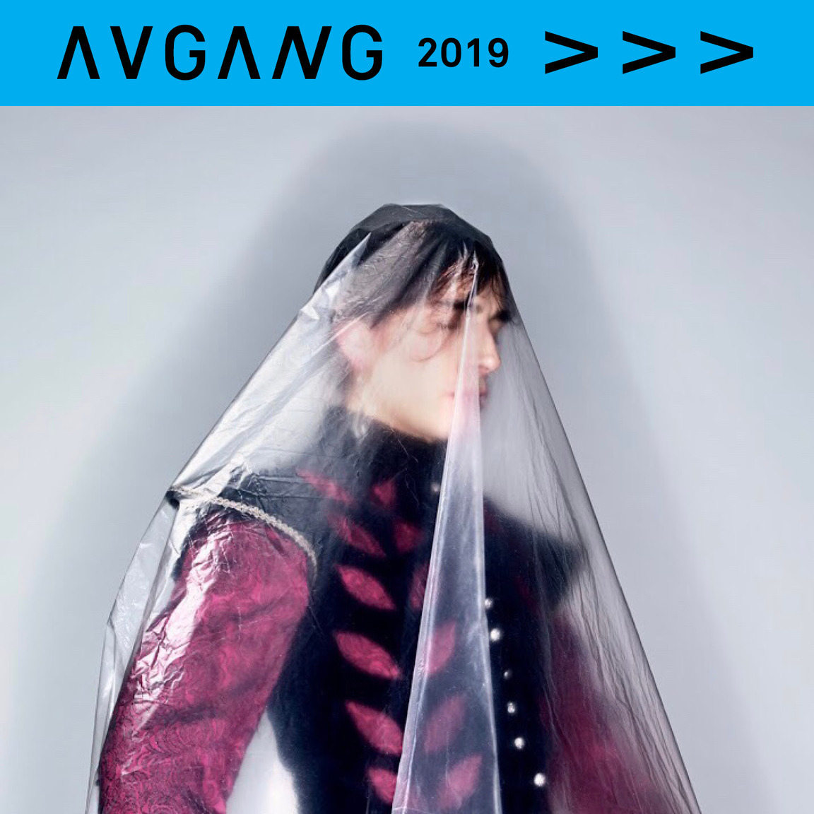 AVGANG 2019: PRESENTATIONS edt. 1.1.–1.4.  Performing the self in the self(ie) society