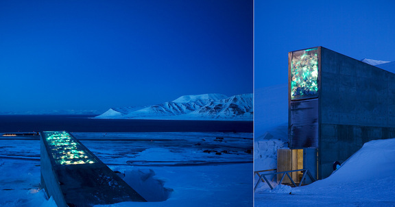  ”Perpetual repercussion” 
Svalbard globale frøhvelv 2008, KORO
Følgetekst: Frøhvelvets indre er beskyttet mot innsyn. Likevel reflekterer innholdet bestemte betydninger og en kompleksitet som rammer oss. Frøhvelvets eksistens minner oss om vår egen posisjon i helheten og jordas tilstand. Frøene forplikter for en framtid. De er kopier av et mangfold som krever en syklisk repetisjon i handling framfor en stadig tro på den utpekte originalen og det lineære framskrittet. 
Foto: Jenny-Marie Johnsen
