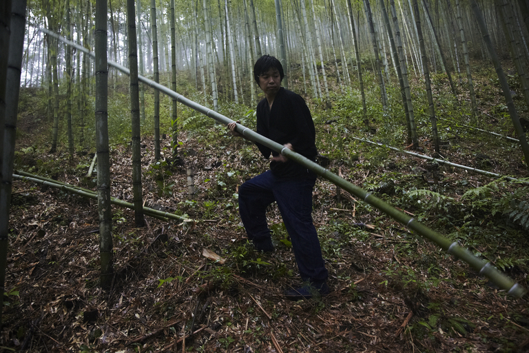 Chiku’unsai IV Tanabe: Bamboo Artist