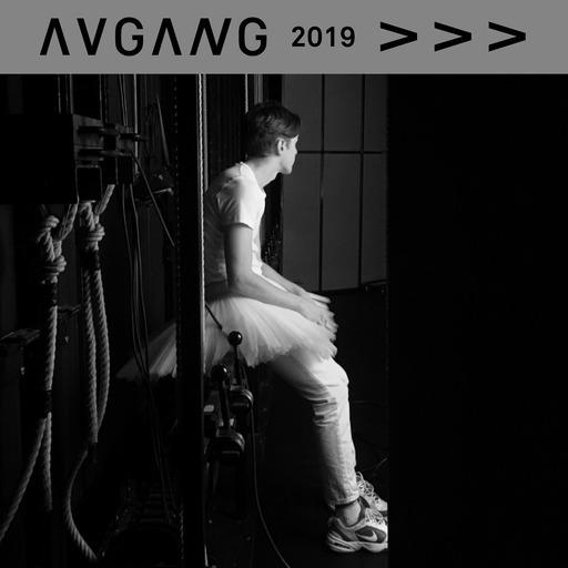 Avgang 2019: Staged Institutions III – The Wild Duck