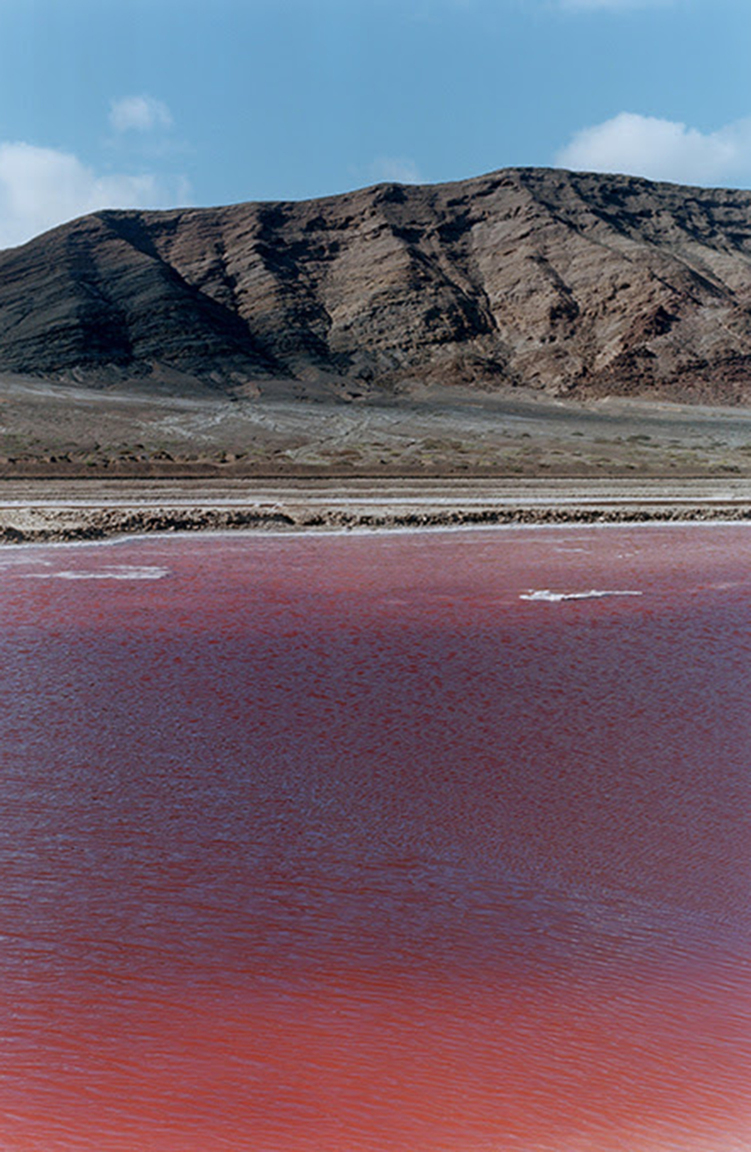 Wolfgang Tillmans, red lake, 2002. Courtesy of Wolfgang Tillmans, Galerie Buchholz Cologne / Berlin and Maureen Paley.