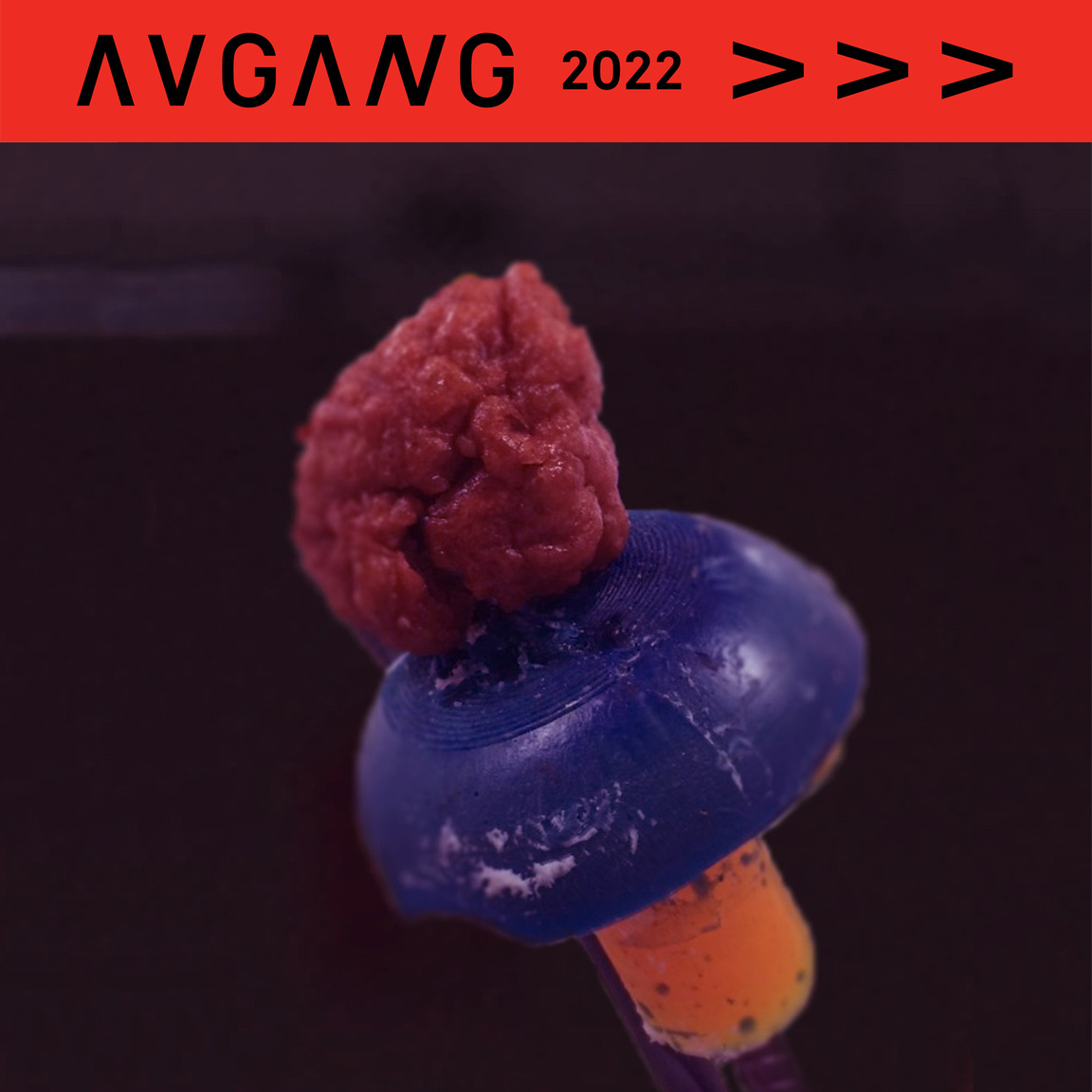 Avgang 2022: Popped Lipids