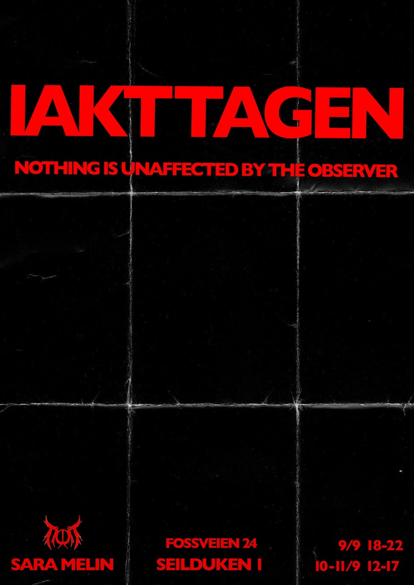 Iakttagen - Nothing is unaffected by the observer