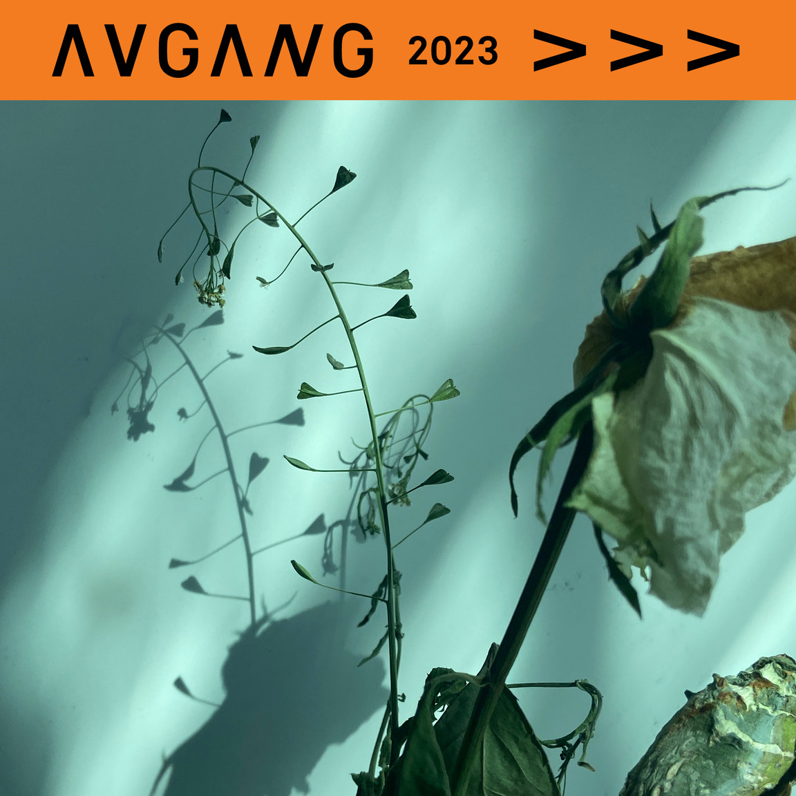 Avgang 2023: Unveil 