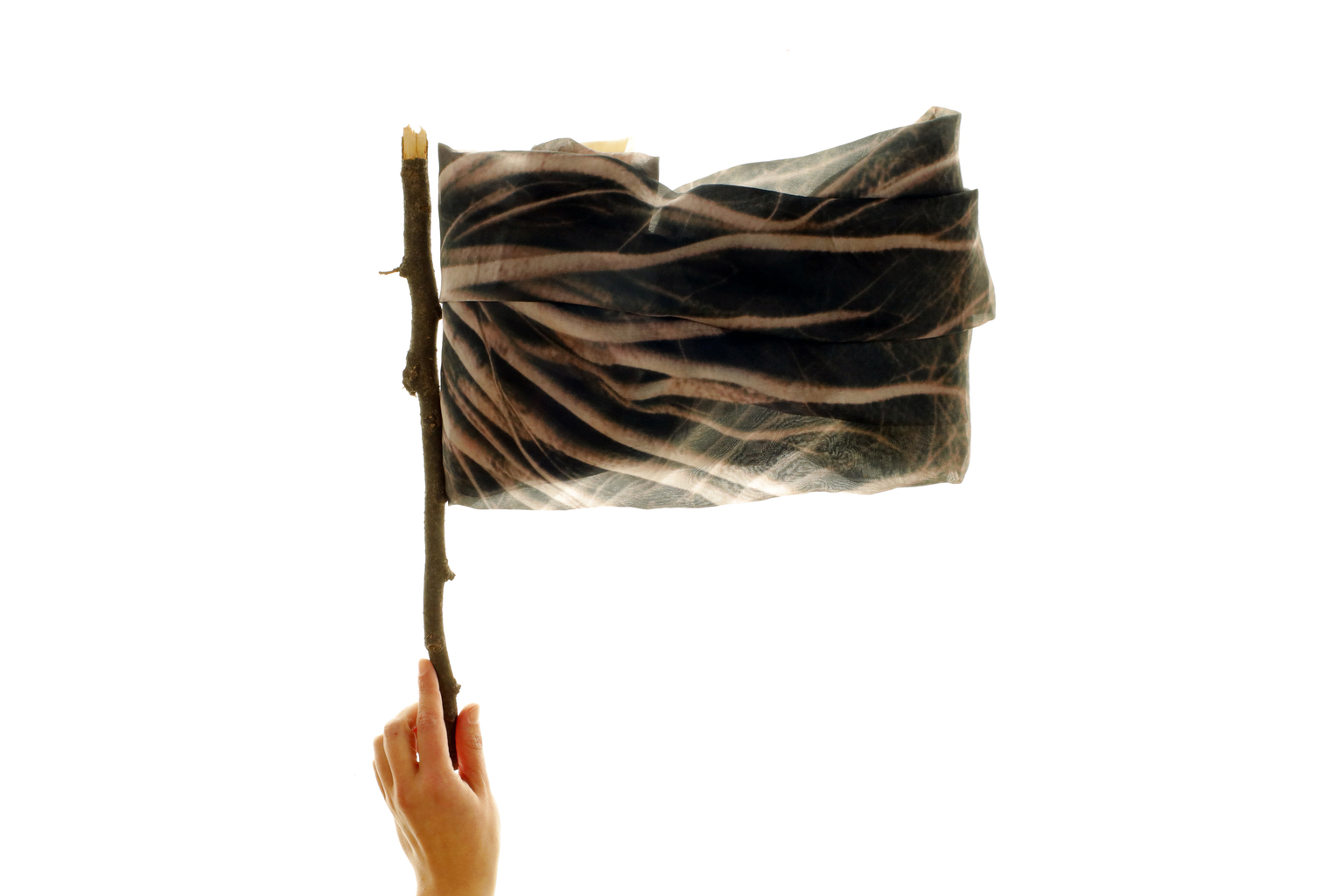 Belen Santillan: Micro Museo Flag