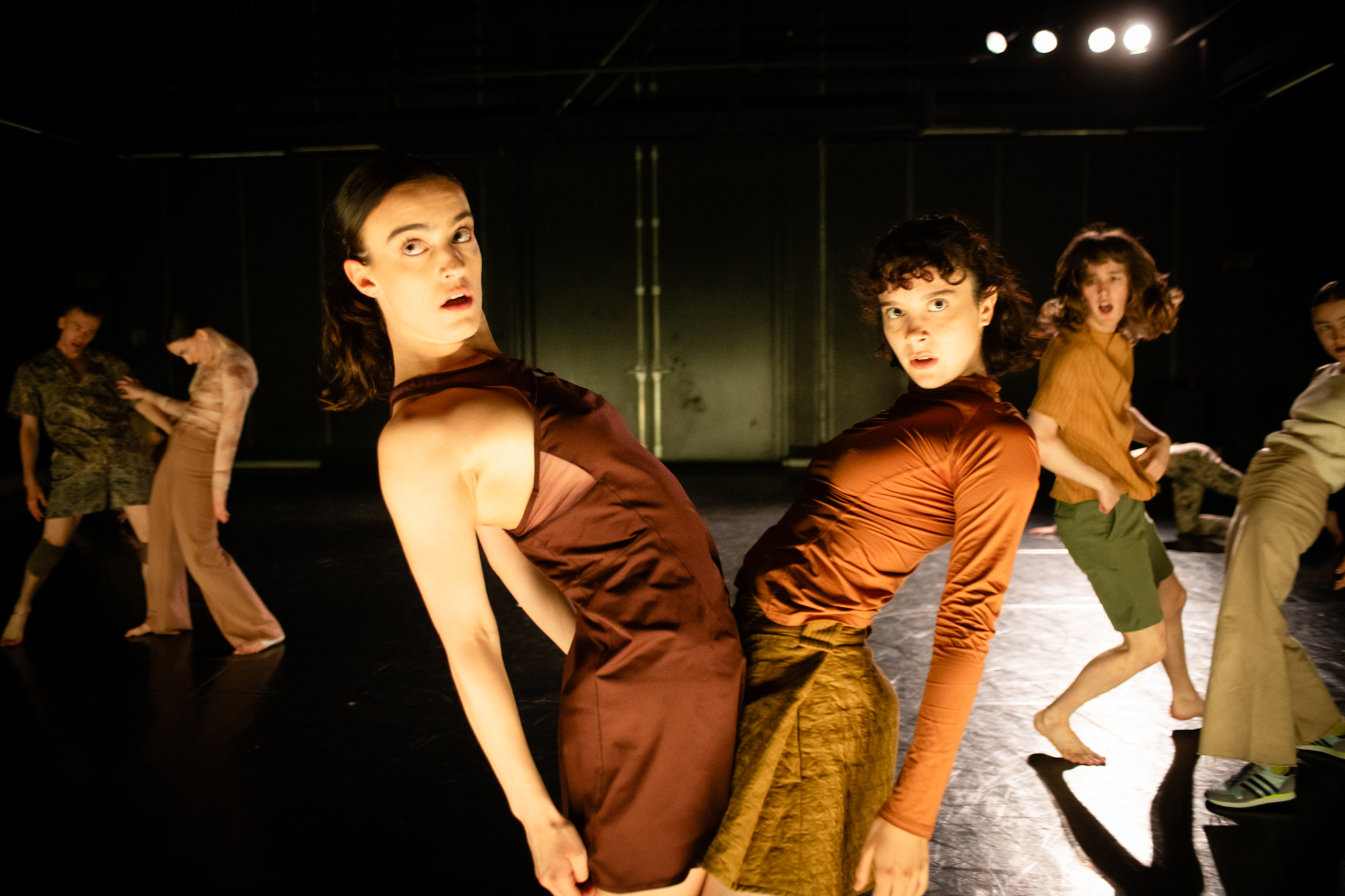 Vaginali transseksuallar