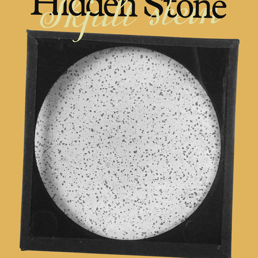 Hidden stone / Skjult stein