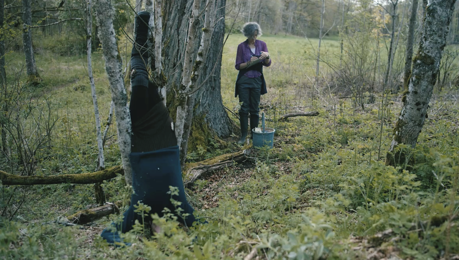 Still from Traces#2 Røskogen by Andreas Strand Renberg 