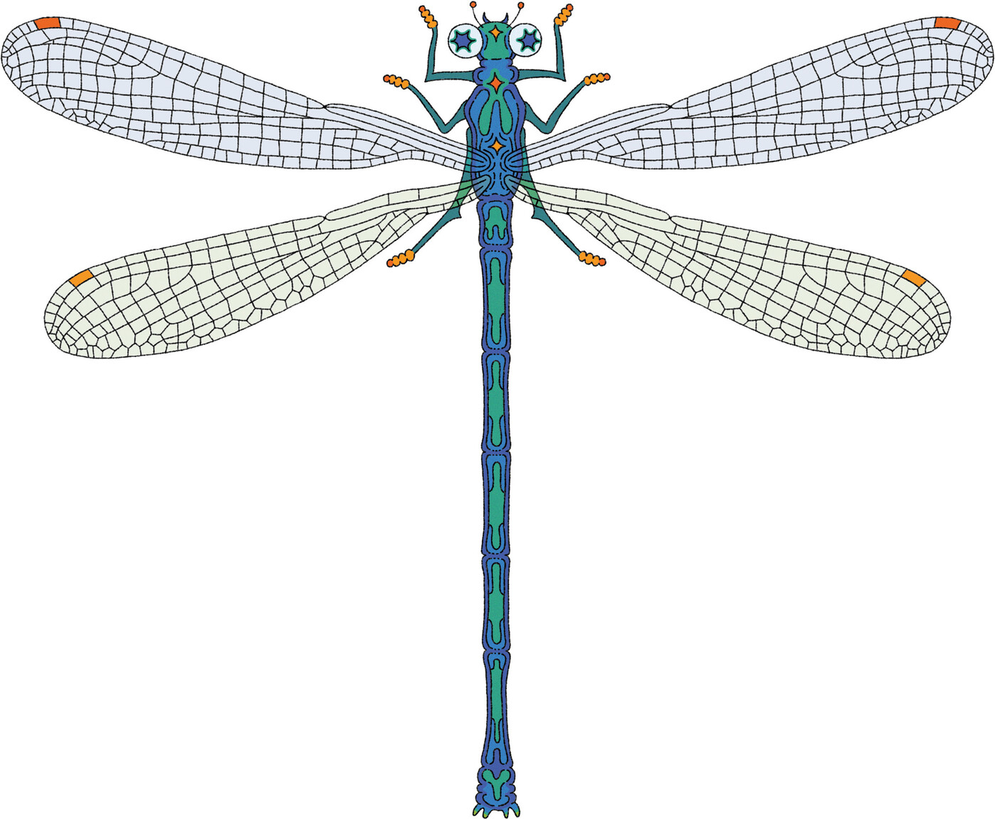 Dragonfly. Illustration by AZA