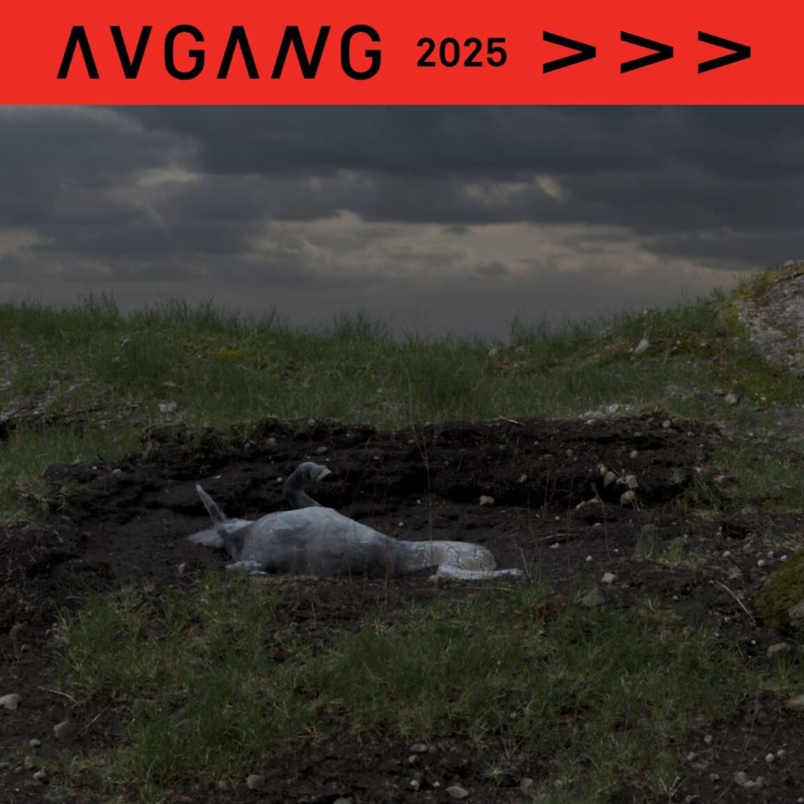 Avgang 2025: David Tobias Bonde Jensen / Dragon (silence and spit)