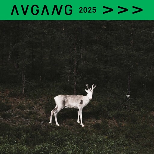 Avgang 2025: Johanna Øyno / Om fenomener og eksistenser