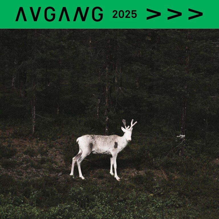 Avgang 2025: Johanna Øyno / Om fenomener og eksistenser Avgang 2025: Johanna Øyno / Om fenomener og eksistenser
