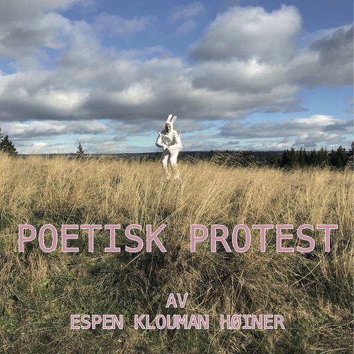 Poetisk protest nr. 12