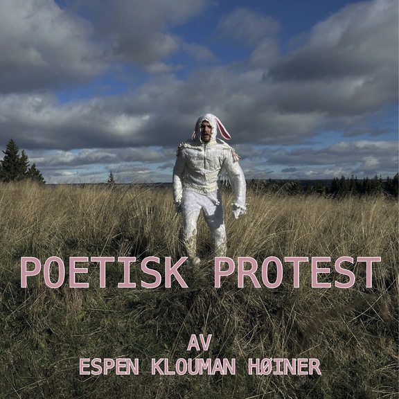 Poetisk protest nr. 15-17