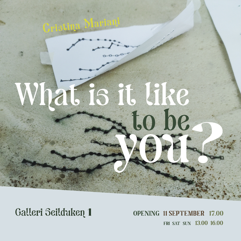 What is it like to be you? 