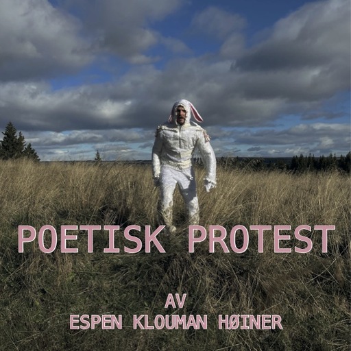 Poetisk protest nr 24 og 25