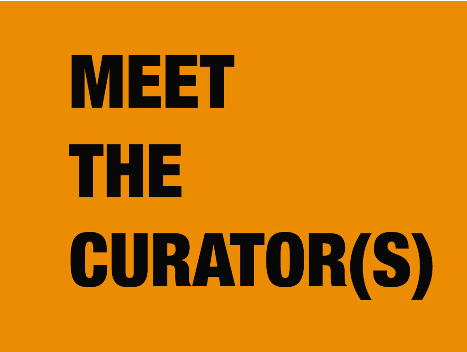 Agenda: Meet the curator(s) 