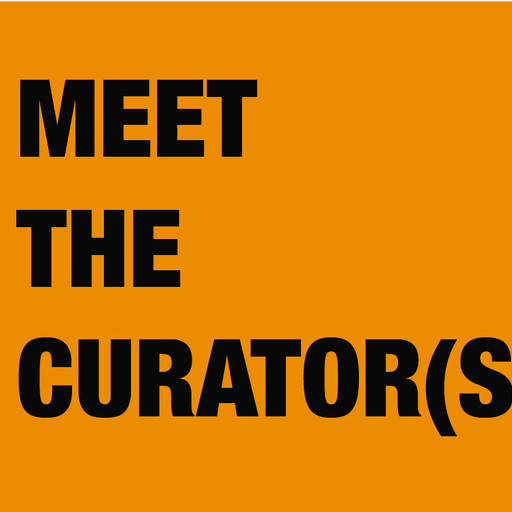 Agenda: Meet the curator(s) 