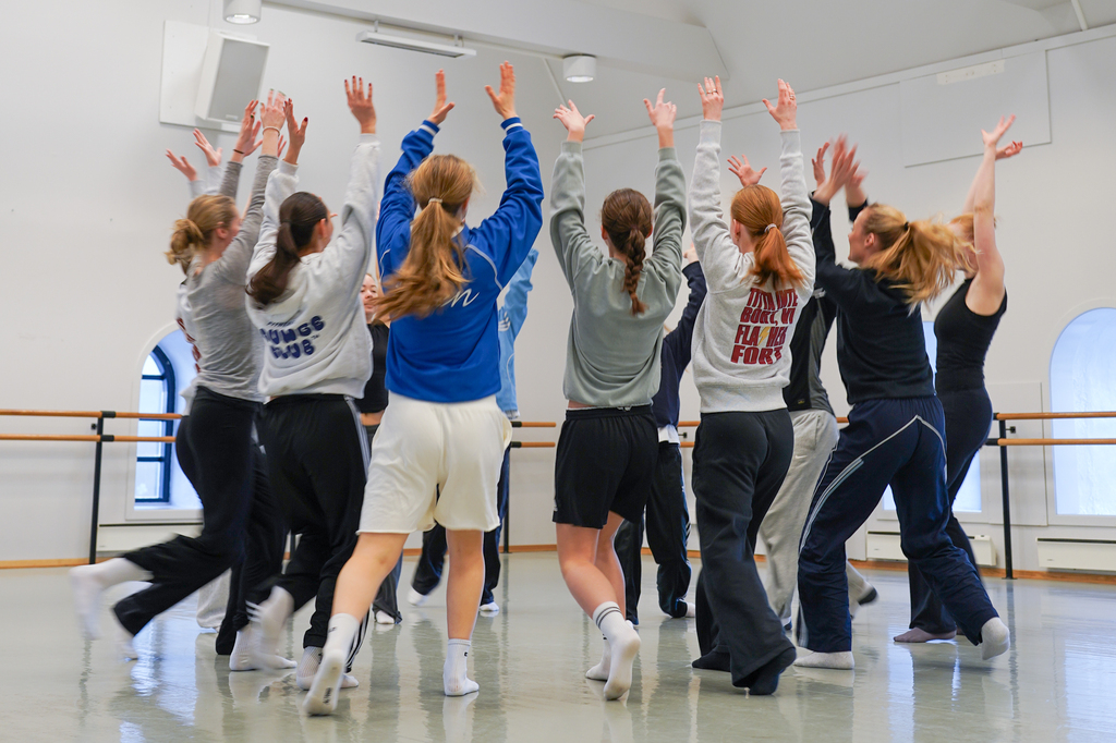 Educational Theory and Practice in Performing Arts