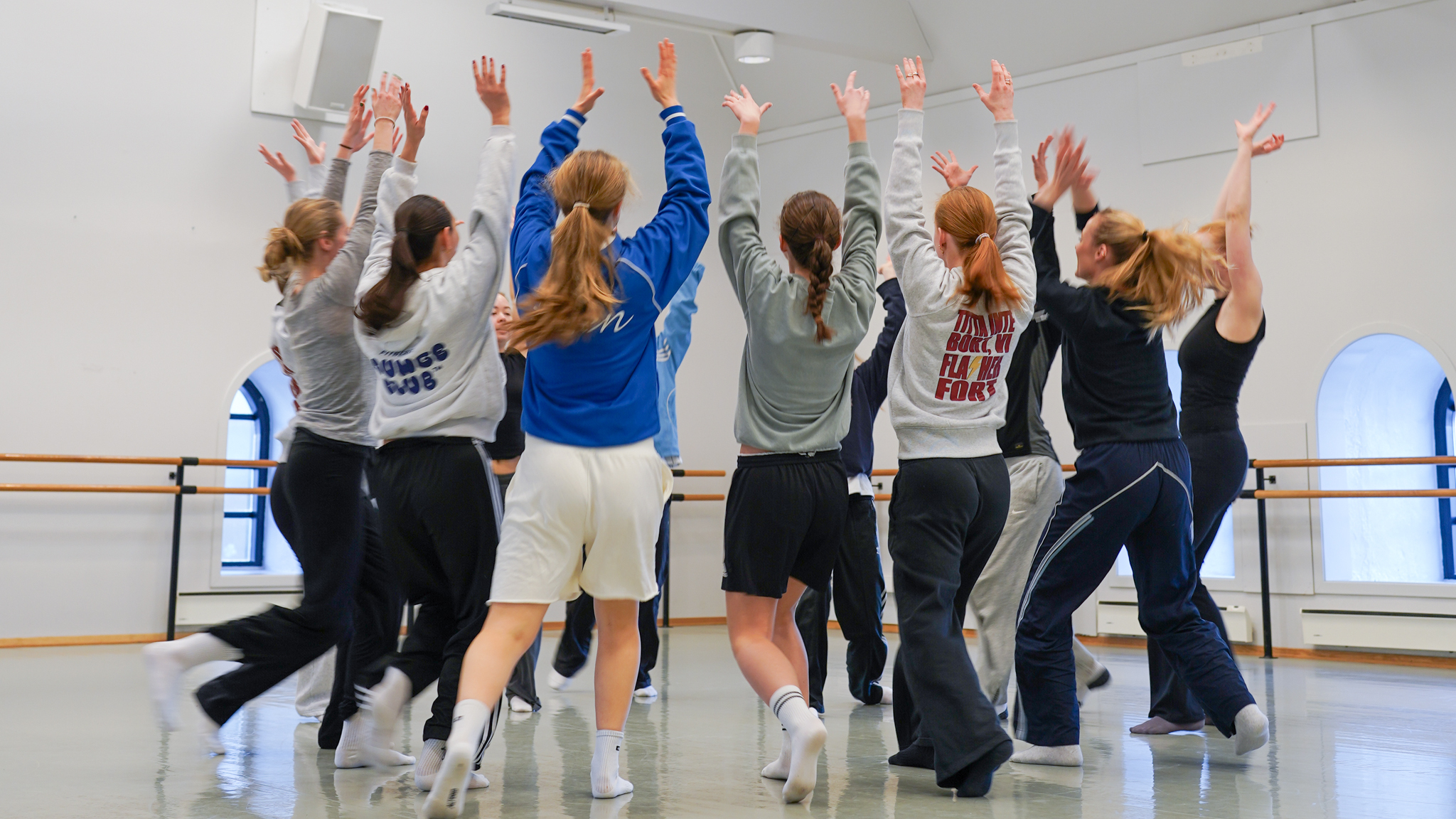 Praktisk-pedagogisk utdanning i scenekunst