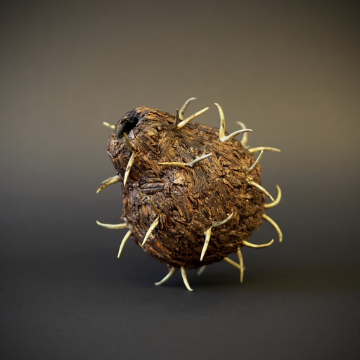 Art & Craft lectures: Jorge Manilla / I wanted to be like them 