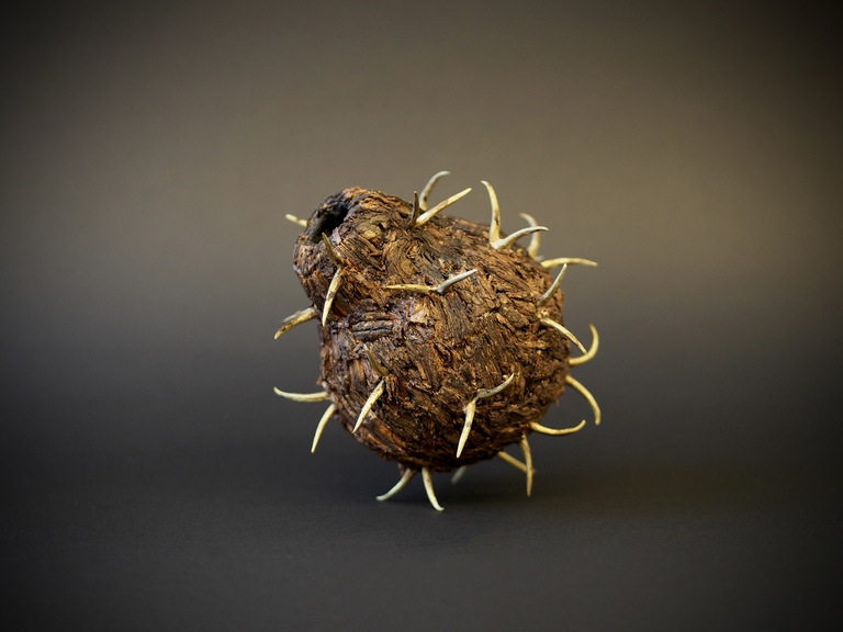 Art & Craft lectures: Jorge Manilla / I wanted to be like them 