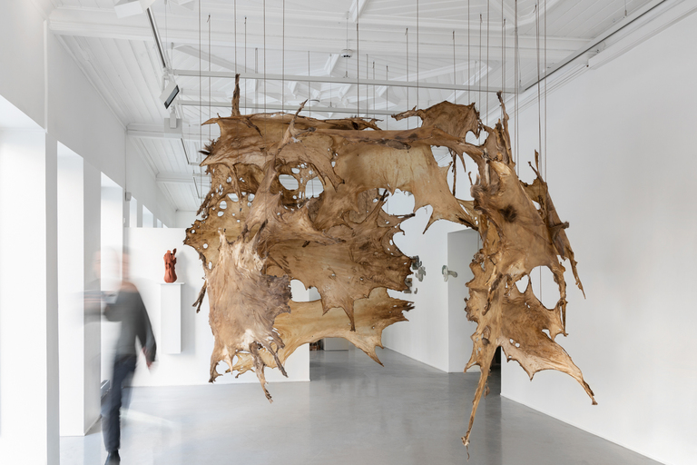 Agenda: Korpus – workshop stories somthing between the solid and the hollow 