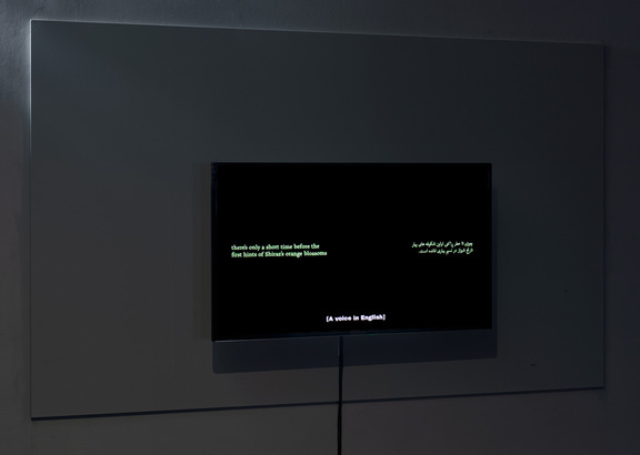 GU_Jalilipour_Patrick Dandy_23