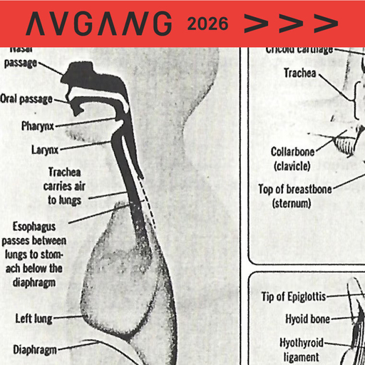 Avgang 2026: Joanna Blanckaert / Percussive ‘ives’