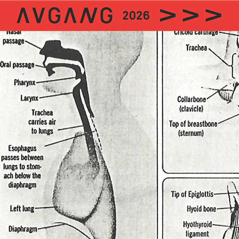 Avgang 2026: Joanna Blanckaert / Percussive ‘ives’