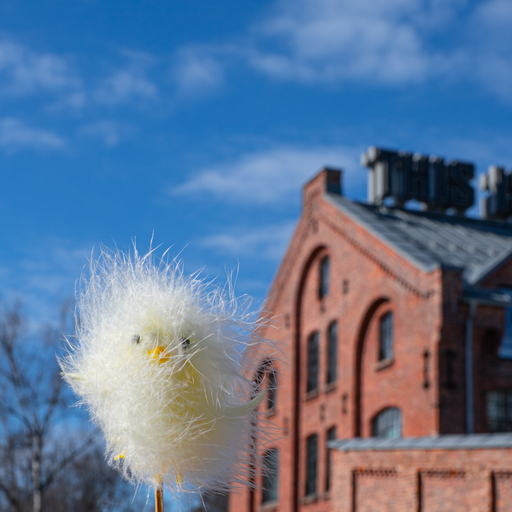 Opening hours easter 2026