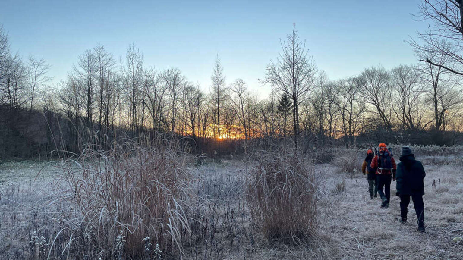 Picture: Fieldwork in the Tomakomai Experimental Forest, Hokkaido, Japan. Photo by Aki Nagasaka