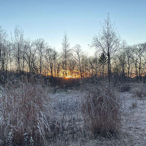 Living with Otherness: Art, Storytelling and Situated Ecology in Hokkaido
