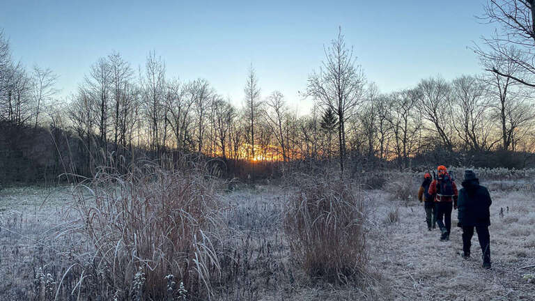 Living with Otherness: Art, Storytelling and Situated Ecology in Hokkaido
