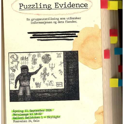 Puzzeling Evidence