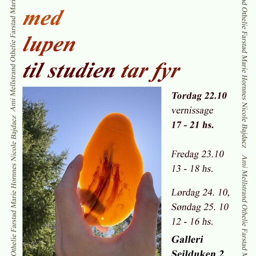 Om å studere med lupen til studien tar fyr