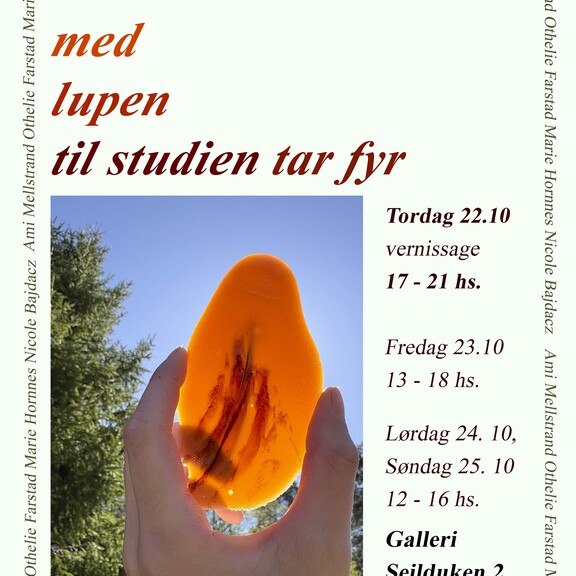 Om å studere med lupen til studien tar fyr