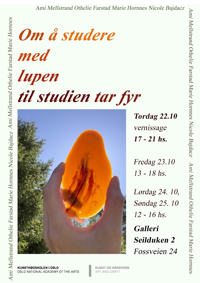 Om å studere med lupen til studien tar fyr