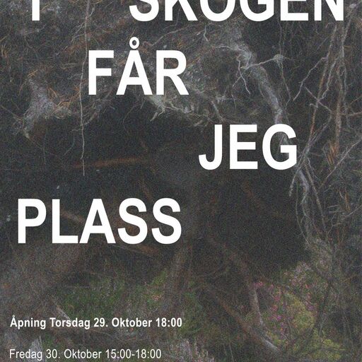 I skogen får jeg plass